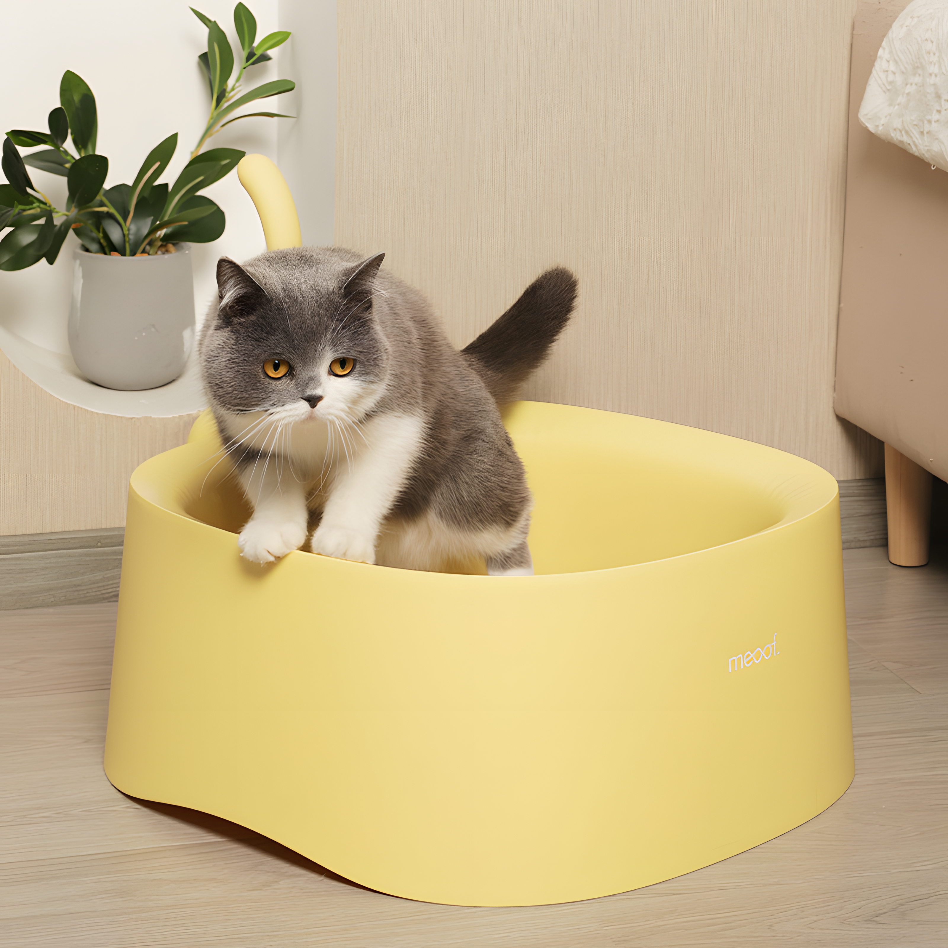 Cat litter box