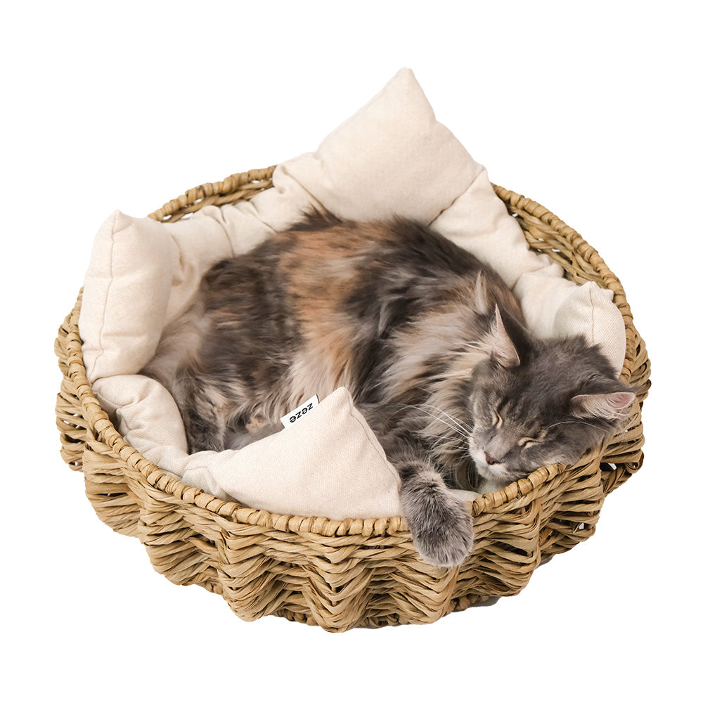 Cat nest