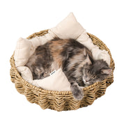 Cat nest