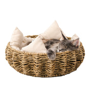 Cat nest