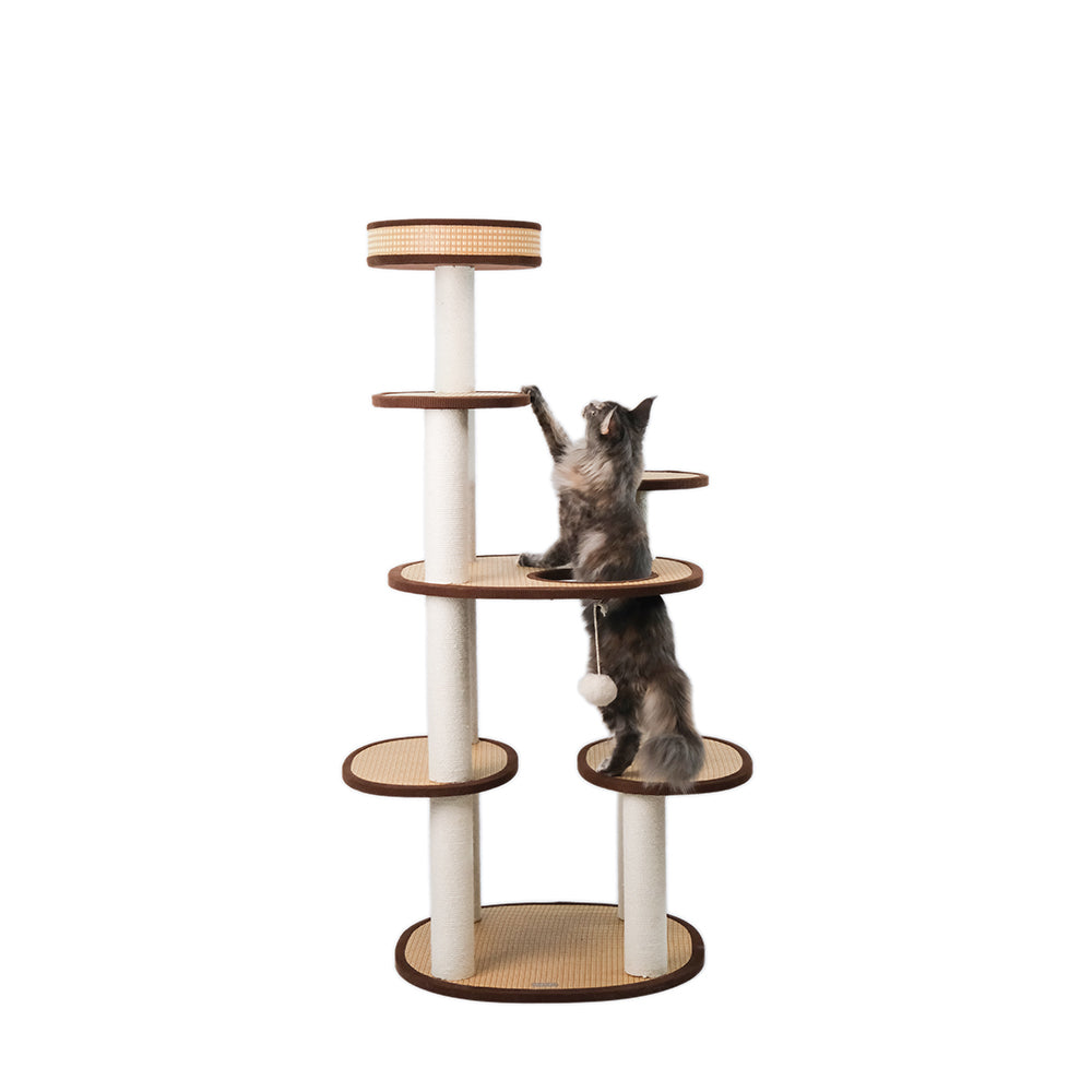 Cat climbing frame