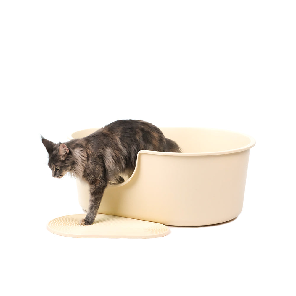 Cat litter box